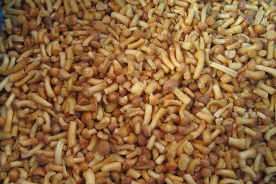 Nameko Stems